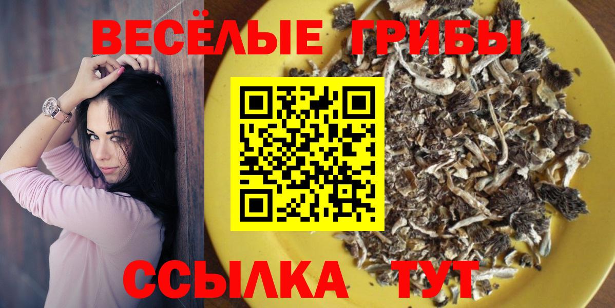 Галлюциногенные грибы GOLDEN TEACHER  Галлюциногенные грибы ЛСД  Азнакаево  Вход с VPN 